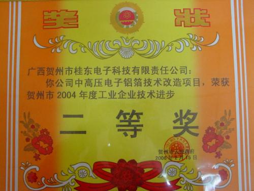 2004年 2004年度賀州市企業(yè)技術(shù)進(jìn)步二等獎(jiǎng)